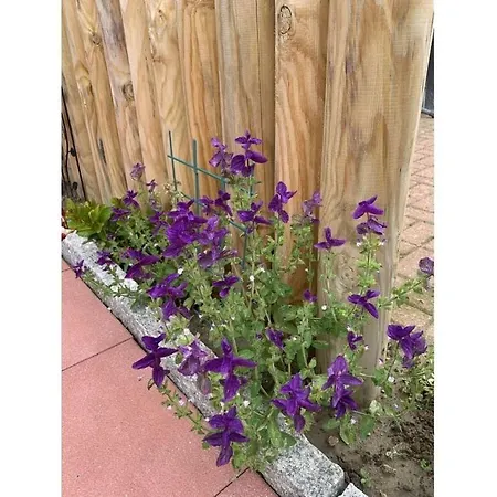 Blauort In Friedrichskoog-spitze *